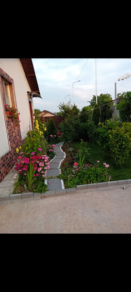 Popestii judetul Giurgiu