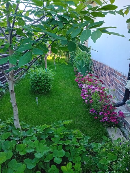 Mihailesti, Popesti, judetul Giurgiu,