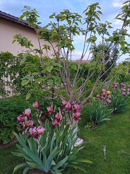 Mihailesti, Popesti, judetul Giurgiu,