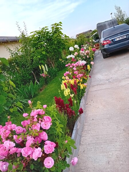 Mihailesti, Popesti, judetul Giurgiu,