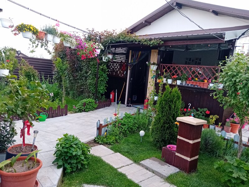 Mihailesti, Popesti, judetul Giurgiu,