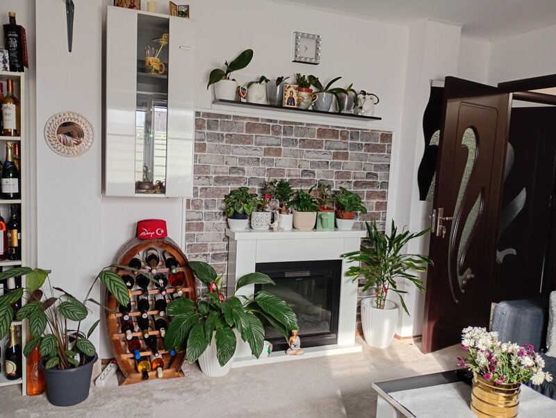 Mihailesti, Popesti, judetul Giurgiu,