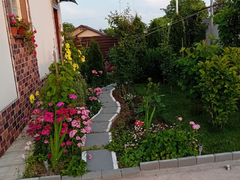 Popestii judetul Giurgiu