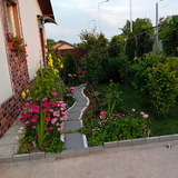 Mihailesti, Popesti, judetul Giurgiu